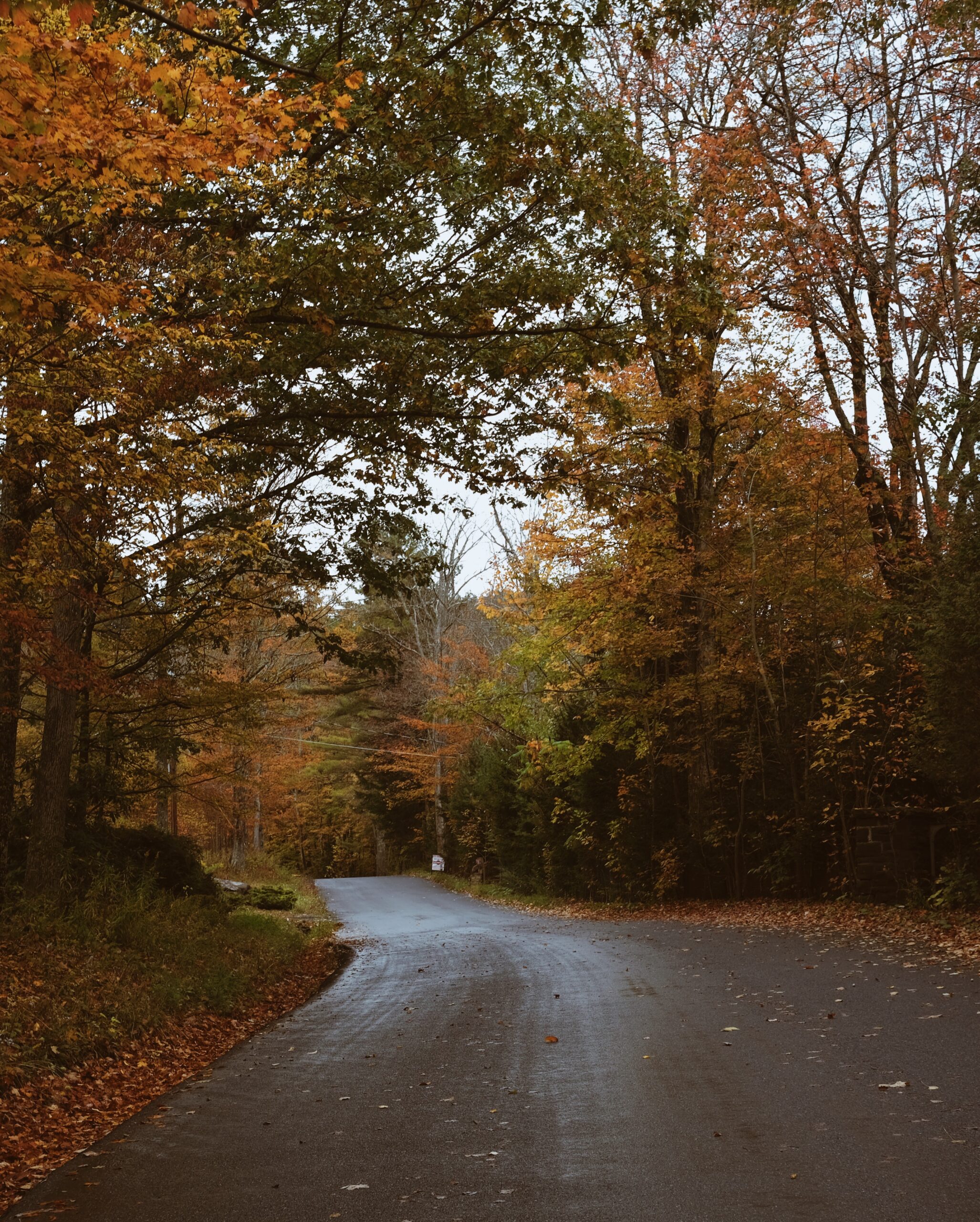 Processed with VSCO with a4pro preset